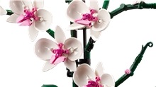 LEGO® Icons 10311 Orchid