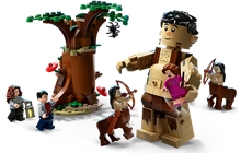 LEGO® Harry Potter™ 75967 Forbidden Forest: Umbridges Encounter