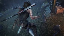 Rise of Tomb Raider: 20 Year Celebration (PS4)