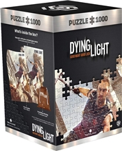 Dying Light 1 Puzzle