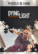 Dying Light 1 Puzzle