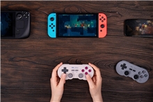 8BitDo SN30 Pro Gamepad HallEd - Gray (SWITCH)