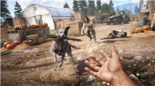 Far Cry 5 (PS4)