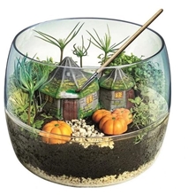 Harry Potter Terrarium