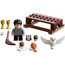 LEGO® Harry Potter 30420: Harry Potter and Hedwig: Owl Delivery